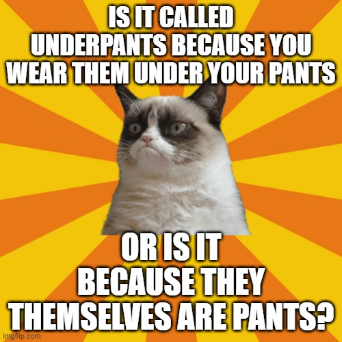 Underpants Imgflip
