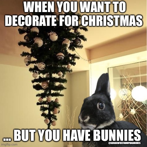 bunny christmas Imgflip