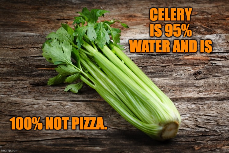 Celery Imgflip