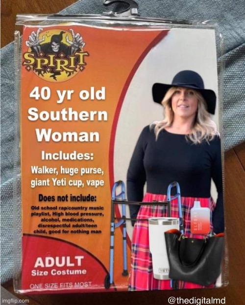 40 yr old southern woman costume Imgflip