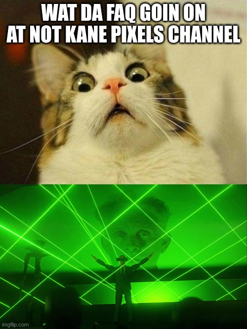 This is literally real Imgflip