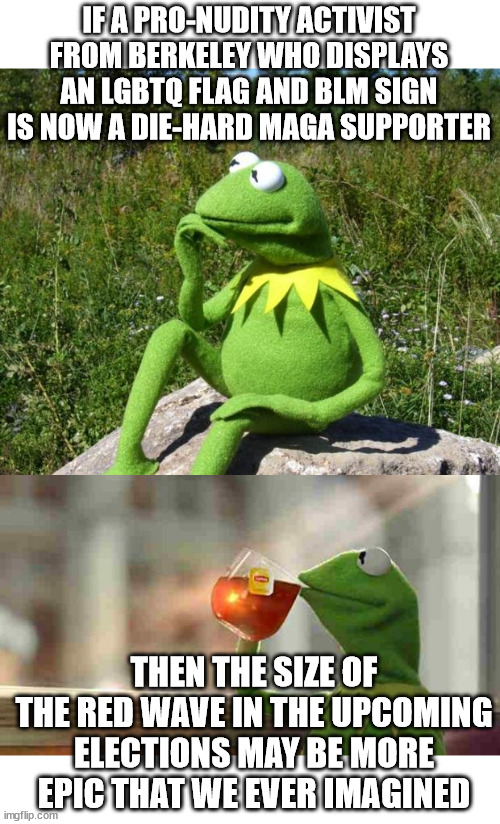 Kermit The Frog Meme Drinking Tea