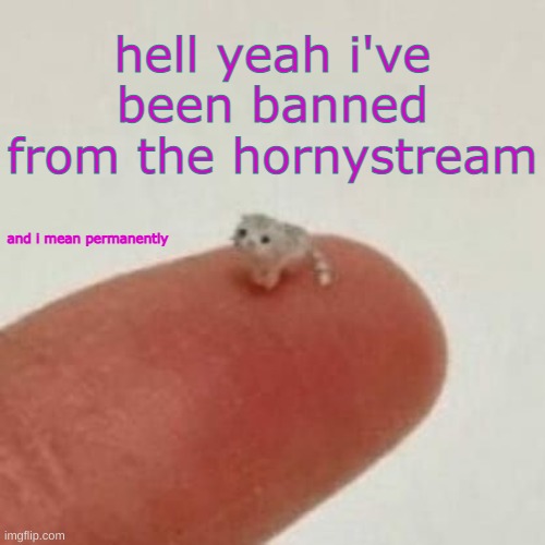 don't ask why i made another template Imgflip