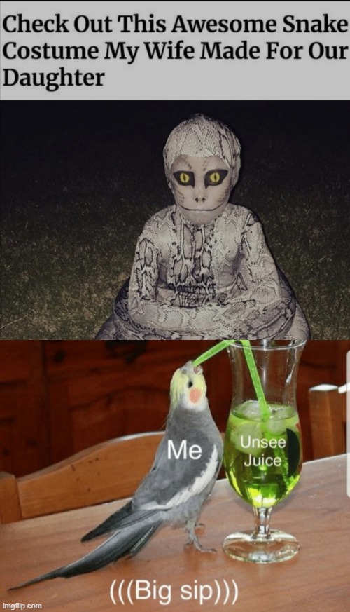 What in swiss cheese and mozzarella sticks is that abomination Imgflip