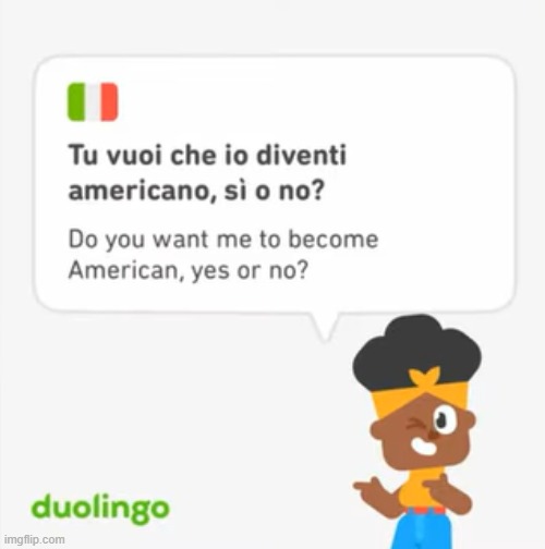 Image tagged in duolingo,memes Imgflip