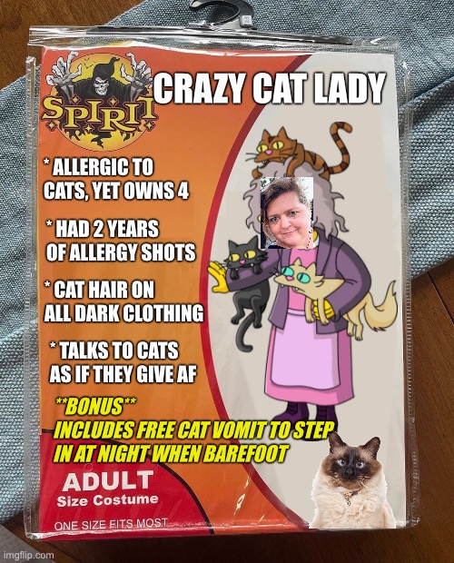 Spirit Halloween Crazy Cat Lady Imgflip