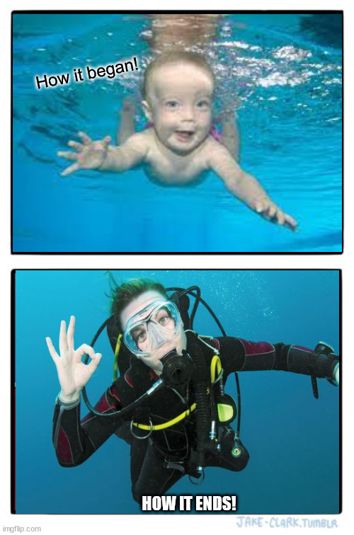 Life Process of Scuba Imgflip