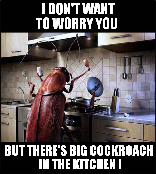 cockroach Memes & GIFs Imgflip