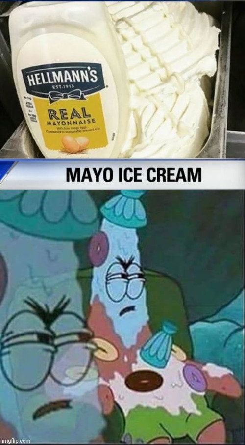 Mayonnaise ice cream Imgflip