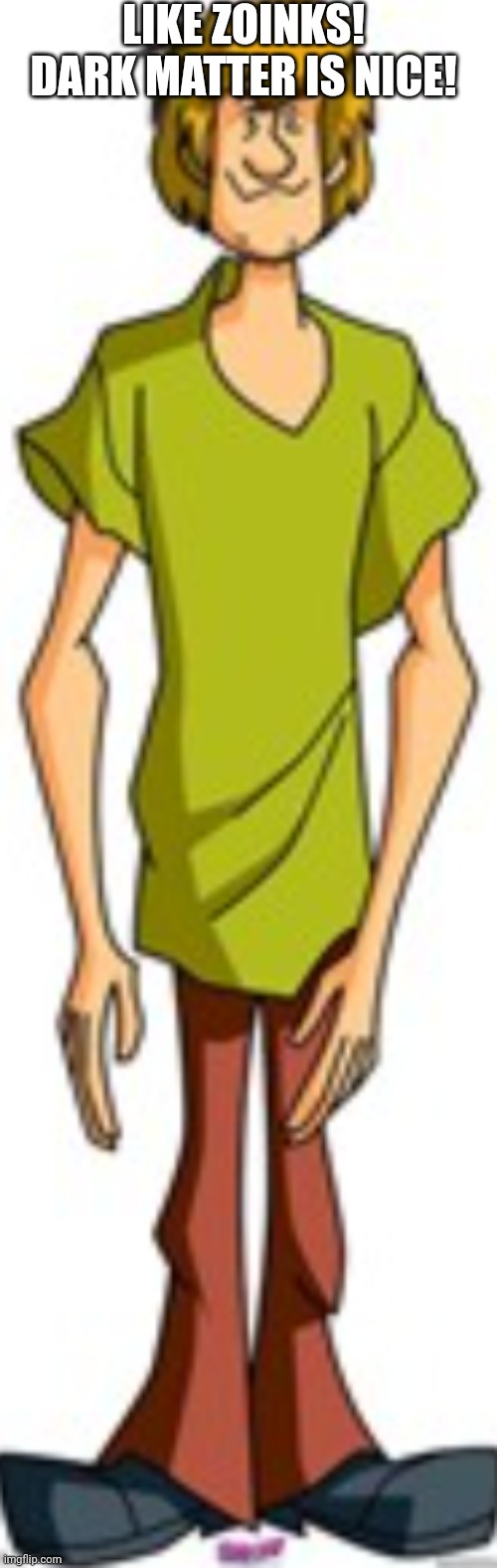 Shaggy Imgflip
