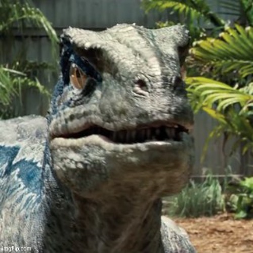 Blue raptor face Imgflip