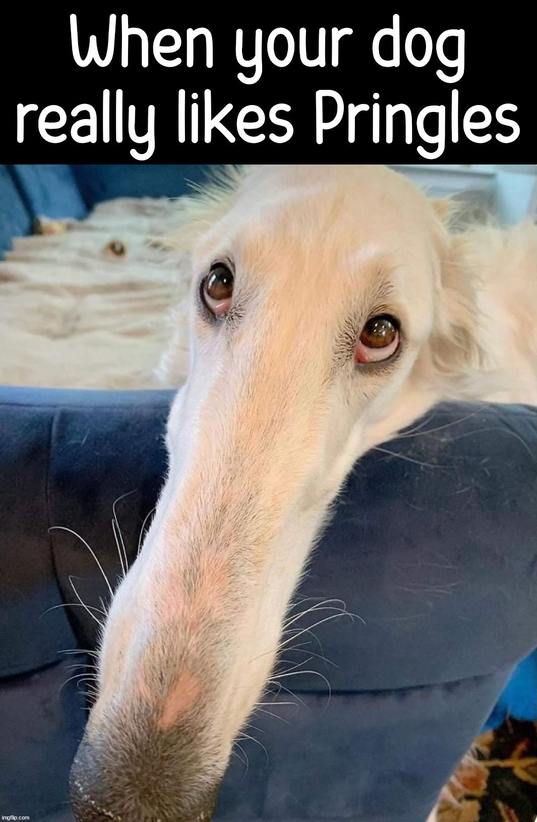 Image tagged in cursed image Imgflip