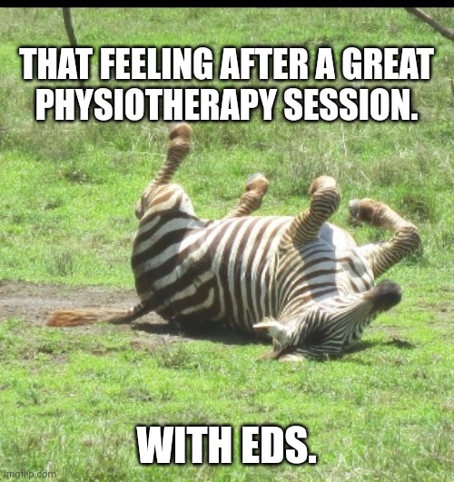 Image tagged in zebra eds Imgflip