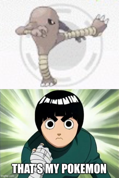 Hitmonlee and Rock Lee Imgflip