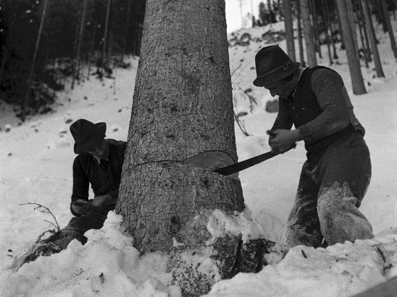 lumberjacks Blank Template Imgflip