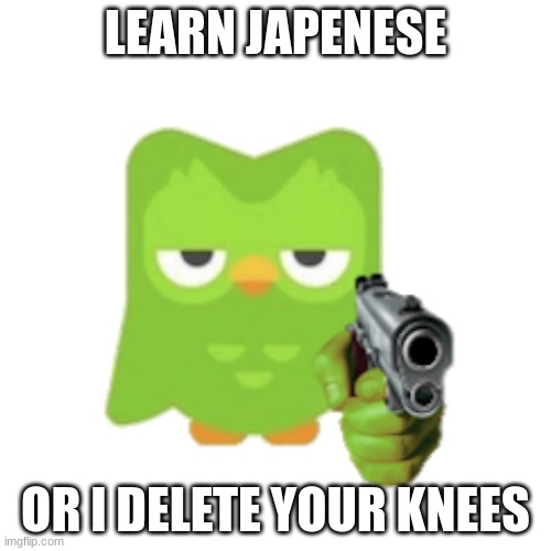 Duolingo Imgflip
