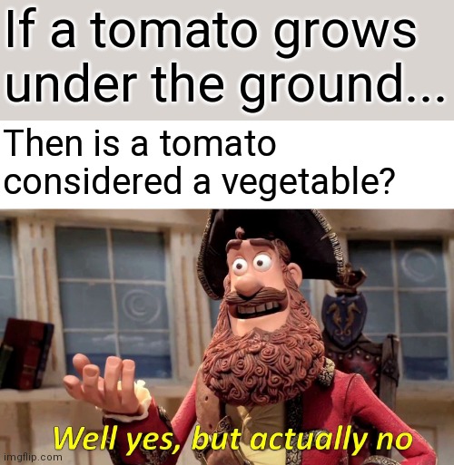 Tomato is a fruit Imgflip