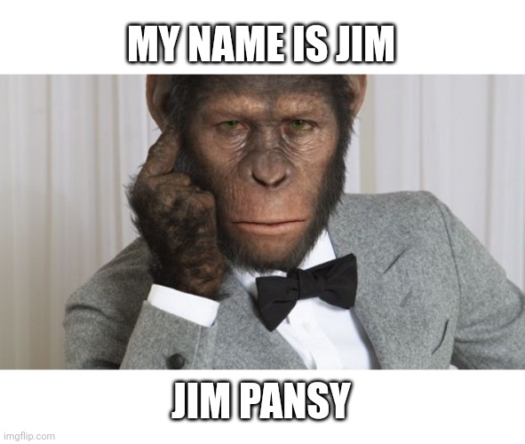 Jim Pansy Imgflip