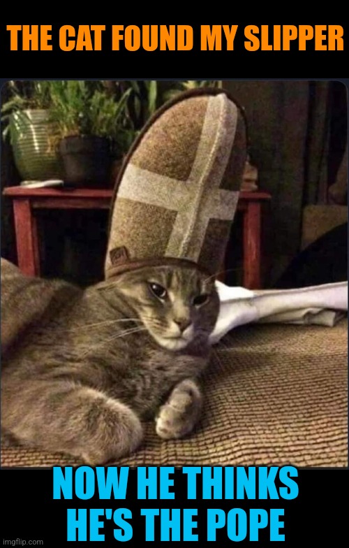 Pope Pawus III Imgflip