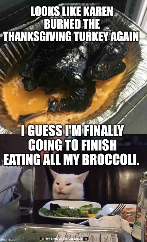 Image tagged in smudge the cat Imgflip