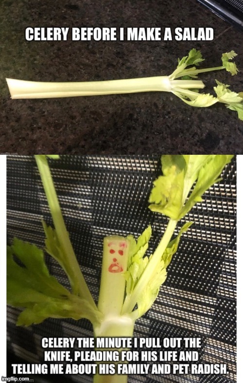 Don't Stalk the Celery Imgflip