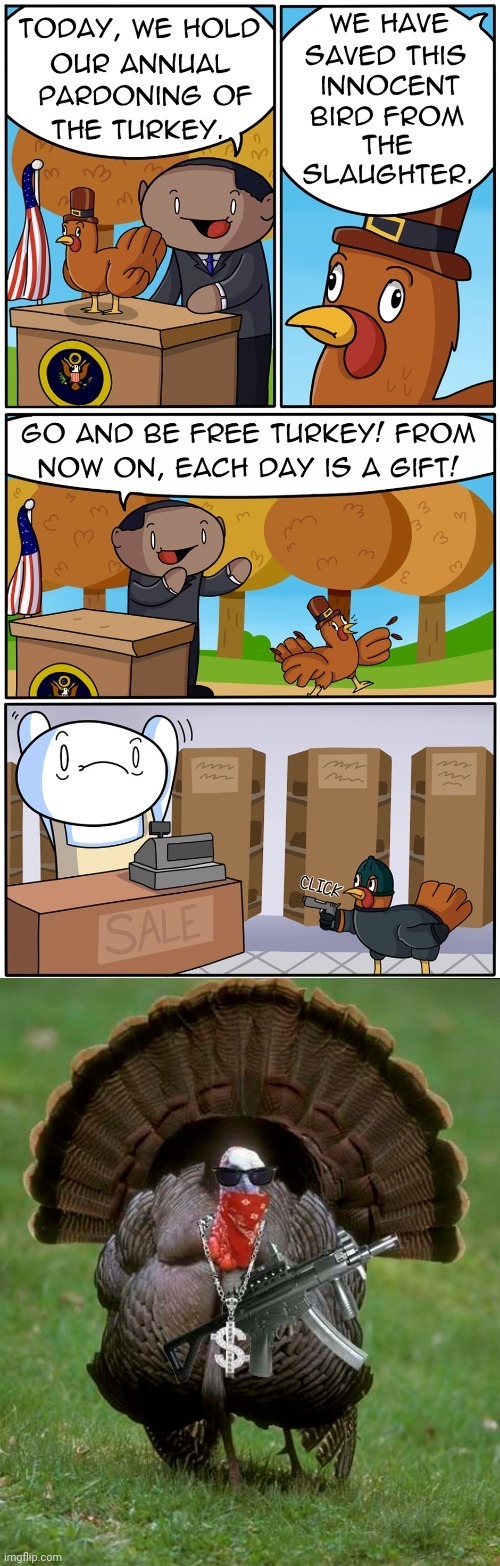 Turkey Imgflip