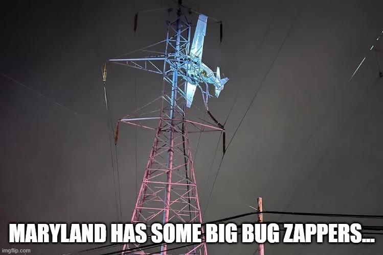 Big bug zapper Imgflip