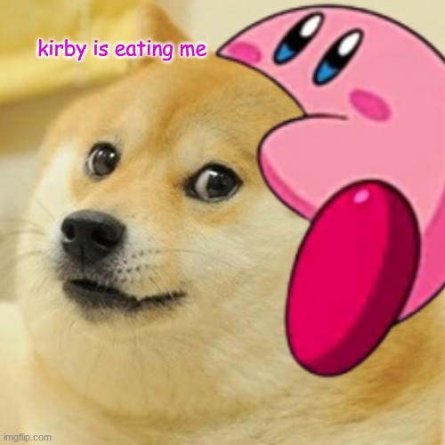 kirby eats doge Imgflip