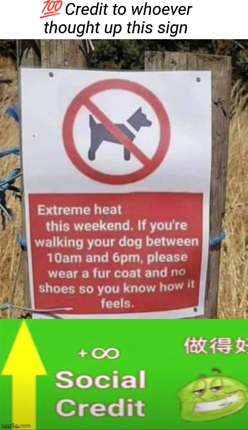 Don't walk dogs in the heat Imgflip