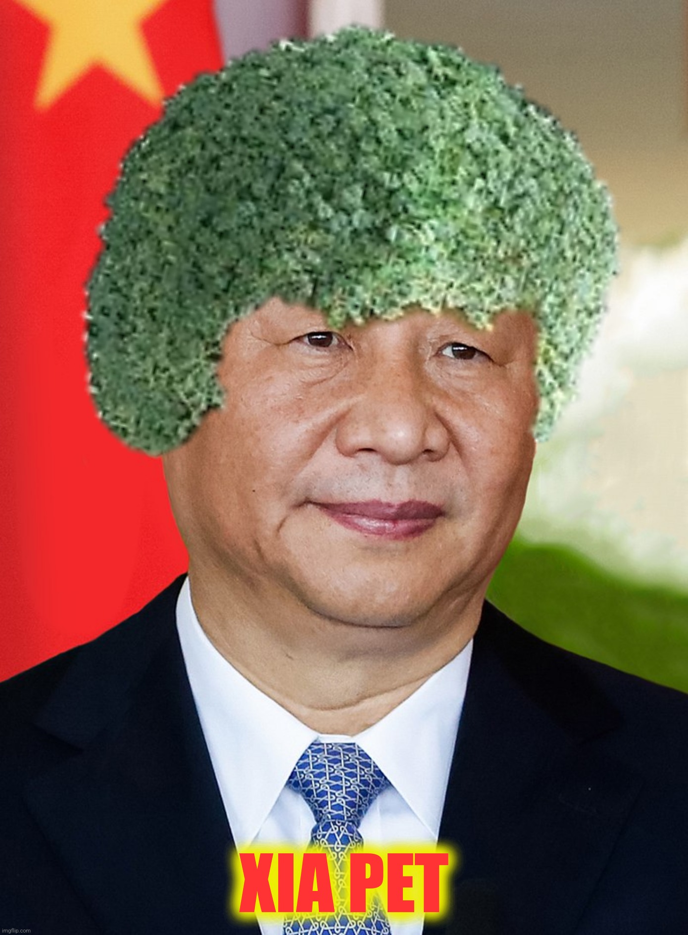 With Ukrainian agriculture devastated China introduces Plan B Imgflip
