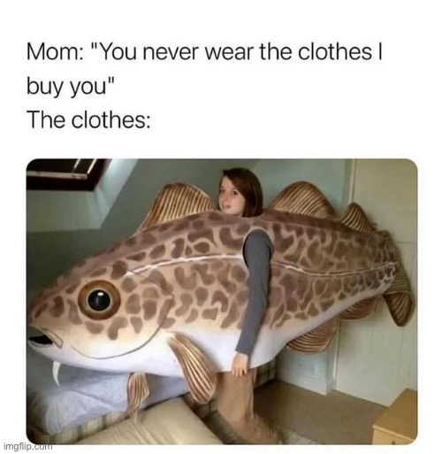 Mom’s clothes Imgflip