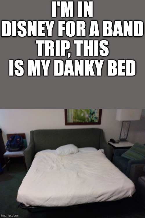 It was either this or share a bed, so Imgflip