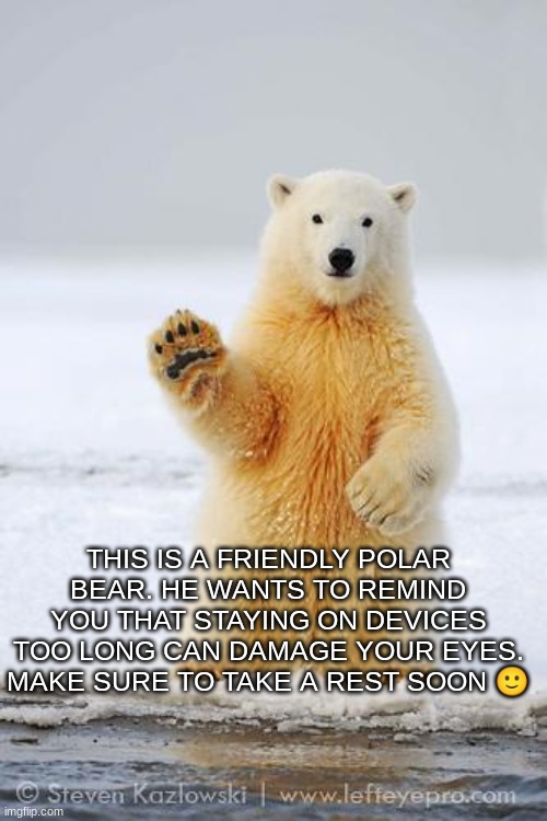 this polar bear loves you. Imgflip