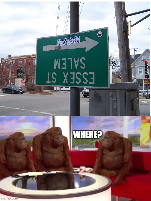 Flip the image upside down and you'll see where Imgflip