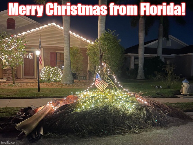 Florida Christmas Imgflip