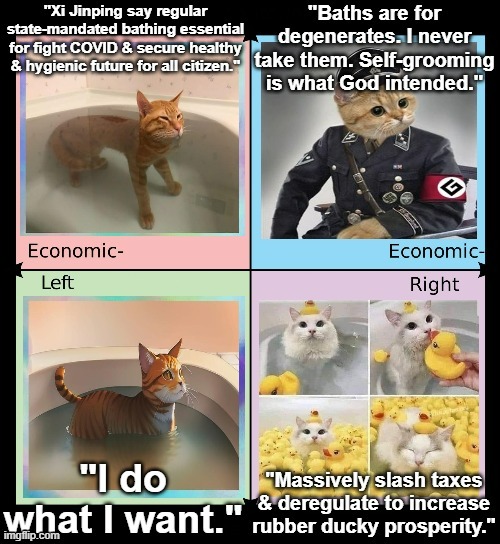 Image tagged in feline bathing around the Imgflip