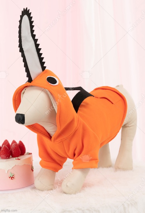 Hoodie for dogs Imgflip