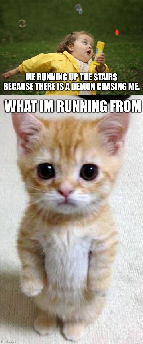 Image tagged in girl running,memes,cute cat Imgflip