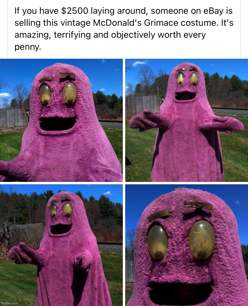 Vintage Grimace costume Imgflip