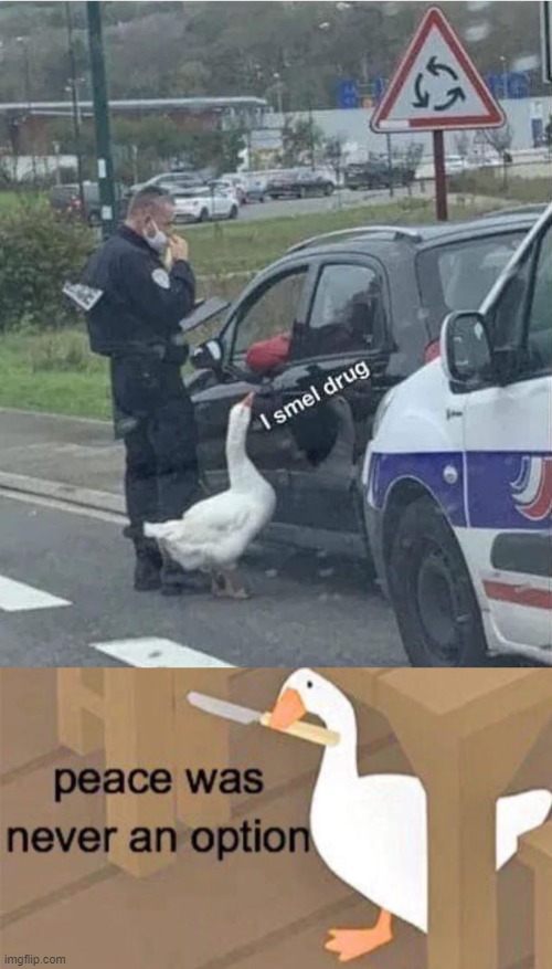 untitled goose peace was never an option Imgflip