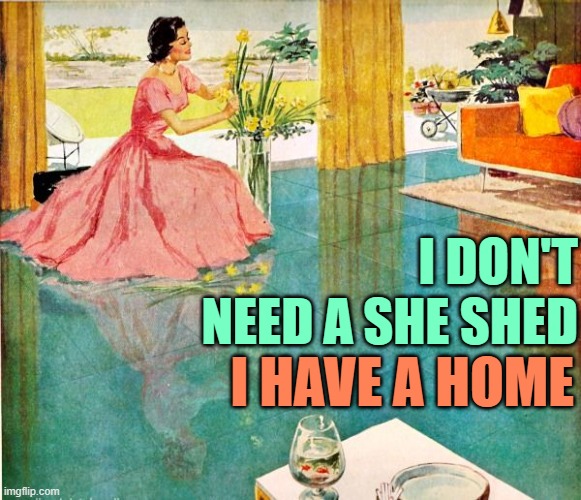 She Shed Housewife Imgflip