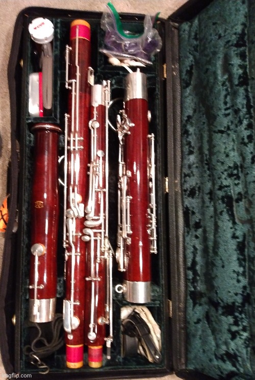 Bassoon reveal! Recording of my playing in the comments Imgflip