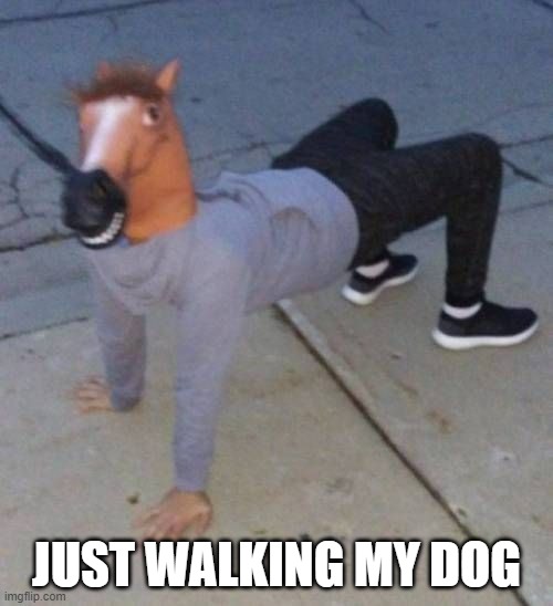 Walking my dog in ohio Imgflip