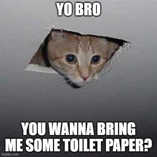 Ceiling Cat Meme Imgflip