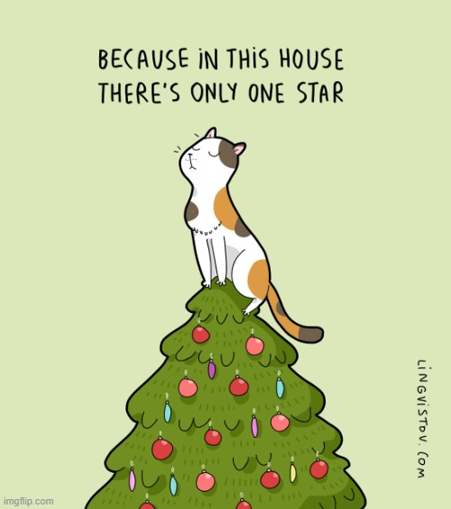 A Cat's Way Of Thinking At Christmas Imgflip