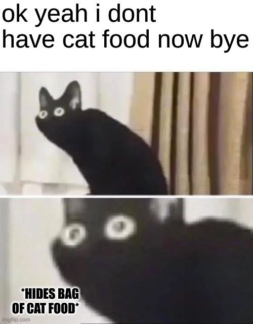 Cat Imgflip