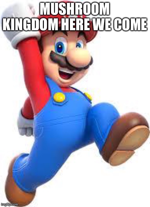 mario Imgflip