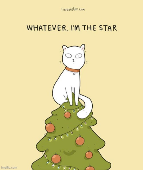 A Cats Way Of Thinking At Christmas Imgflip