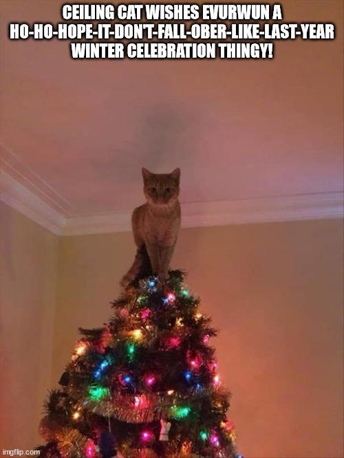 Ceiling Cat Xmas Wish Imgflip
