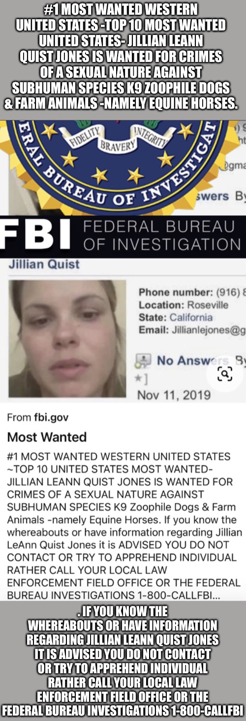 Image tagged in fbi most wanted jillian leann quist jones Imgflip